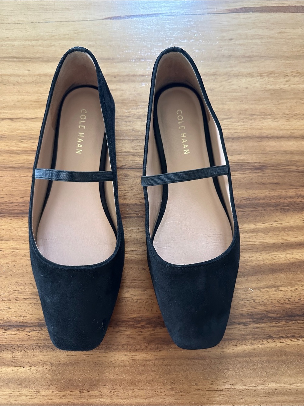 Cole Haan Black Suede Mary Jane Flats with Strap
